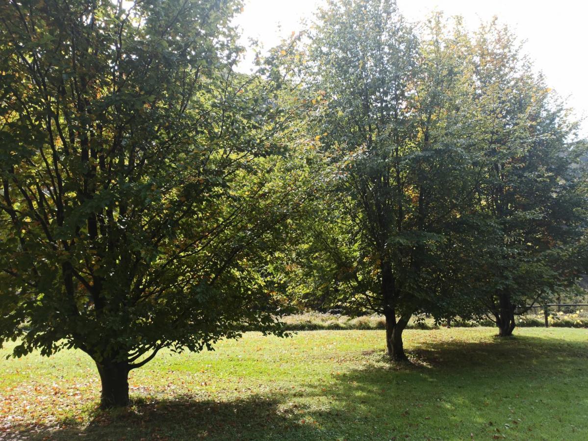 Апартаменти Il Bosco Di Campo Marzano Sunlight Borzonasca Екстер'єр фото