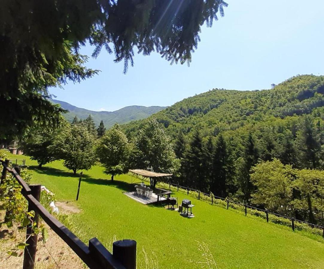 Апартаменти Il Bosco Di Campo Marzano Sunlight Borzonasca Екстер'єр фото